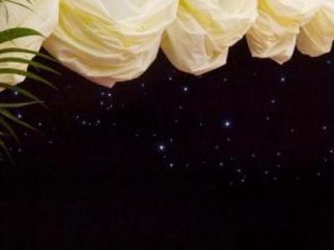 Dividing Curtain 15m image