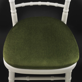 CHAIR PAD - Green image