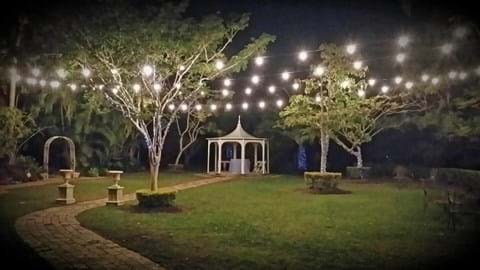 Festoon Lights 20 Bulbs - 20 Metres image