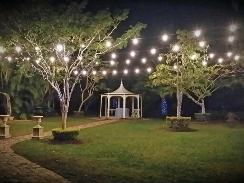 Festoon Lights 20 Bulbs - 20 Metres