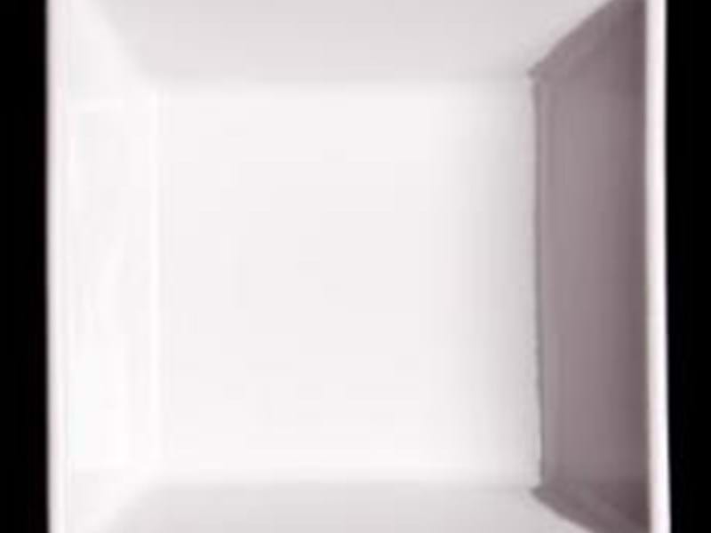 SQUARE DISH 11" x 11" (29 cm x 29 cm)