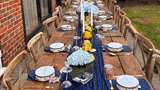Rustic Garden - Blue/Yellow - @michelinaevents